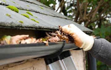 gutter cleaning Stockwell